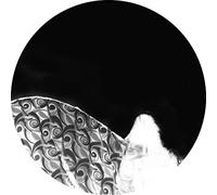 Ashtray Navigations - Before You Play This [VINYL] [Vinilo]