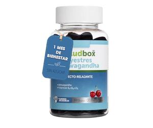 Ashwagandha Gominolas 600mg Veganas Adaptógeno para Relajación Calma y Antiestrés con Vitamina D2 B6 B12 para Bienestar Emocional y Manejo Del Estrés 60 Gummies Sabor Cereza Sin Gluten Sin Lactosa
