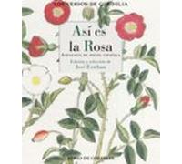 Así Es La Rosa