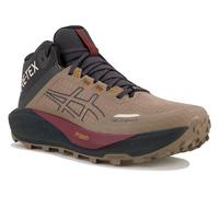 Asics Gel-Trabuco MT Gore-Tex 48 Marrón