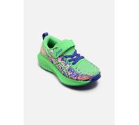 Asics Pre Noosa Tri 16 Ps 35 Verde
