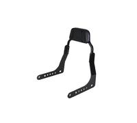 Asidero respaldo Respaldo trasero para pasajero apto para Harley Softail Sport Glide FLSB Low Rider ST FXLRST FXRST 117 2018-25 Pasajero Trasero(With Blue Pad)