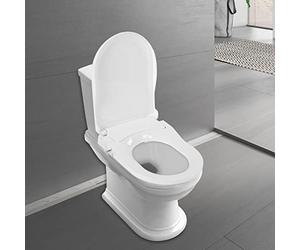 Asiento de inodoro bidet sin electricidad, asiento bidet D forma, asiento bidet WC con función de bajada automática, asiento WC con bidet, doble boquilla, limpieza frontal y posterior
