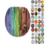 Asiento de inodoro de cierre suave, amplia elección de asientos de inodoro, superficie de alta calidad, bisagras estables, fácil de montar