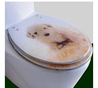 Asiento de inodoro redondo de resina, mecanismo de cierre silencioso, accesorios de fijación rápida, fácil instalación, capacidad de 150 kg