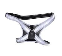 Asixxsix Arnés Luminoso para Perros, Chaleco arnés LED Iluminado para Perros con 8 Modos de iluminación, Anilla para Correa integrada, soporta hasta 130 kg, para Paseos nocturnos. (Black)