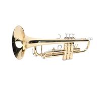 Asixxsix BB Cornet, Kit de Corneta de Latón con Estuche de Transporte, Guantes, Tela de Limpieza y Pinceles, Instrumentos Musicales para Profesionales de los Principiantes Práctica y