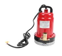 Asixxsix Bomba Sumergible DC 12 V, Bomba de Refuerzo de Pozo de Acero Inoxidable con Potencia de 180 W, Cabezal Máximo de 26 Pies, Salida de 1 Pulgada, para Jardín, Estanque