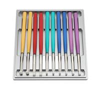 Asixxsix Herramienta de extracción Manual para Relojes, 10Pcs Kit Multifuncional Extractor de Alfiler de Reloj de Aleación Herramienta Profesional Antideslizante con Caja para relojeros