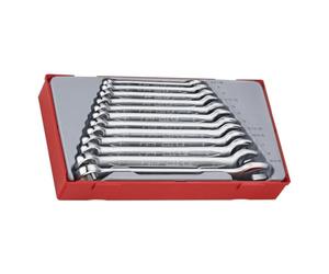 ASLAK - Tengtools TT1236 - Juegos de 12 llaves combinadas, métricas