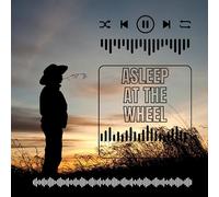 Asleep At The Wheel - LIVE