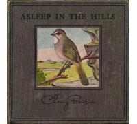 Asleep in the Hill