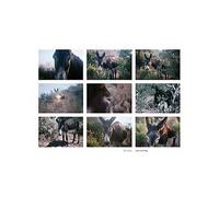 Asleep on the Wing Ep [Vinilo]