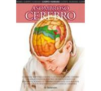 Asombroso Cerebro (cuerpo Humano)