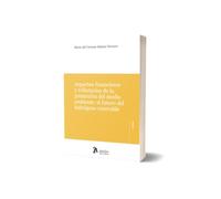 Aspectos financieros y tributarios de la protección del medio ambiente: el futuro del hidrógeno renovable
