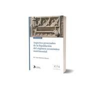 Aspectos procesales de la liquidación del régimen económico matrimonial