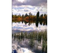 Aspen Amazing!: Gift Notebook Landscape Journal for Travel