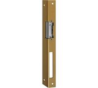 Assa Abloy effeff 4042203146679 - Abridor de puerta eléctrico Din derecha 14EFafix Iw Din R go Gold