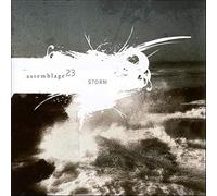 Assemblage 23 - Storm