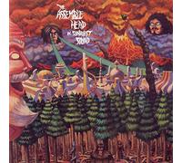 Assemble Head In Sunburst Sound - Ekranoplan [Vinilo]