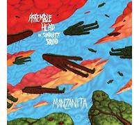 Assemble Head in Sunburst Sound - Manzanita