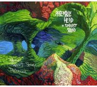 Assemble Head In Sunburst Sound - When Sweet Sleep Returned