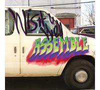 Assemble - Wish You Well [Vinilo]