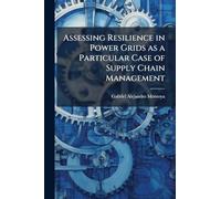 Assessing Resilience in Power Grids as a Particular Case of Supply Chain Management