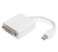 Assmann Cable adaptador DisplayPort - 0,15 m - Mini DisplayPort - DVI-D - Níquel - 1.1a - Cobre