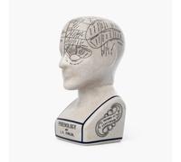 Assorted Collections Phrenology - Cabeza ornamental de cerámica coleccionable, estilo retro, busto 23 cm