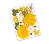 Assorted Dried Floral Arrangement Set Craft Enthusiasts Sustainable Homes Decors Upgrades Pressed Flower Art Supplies Natural Homes Decors Dried Flower