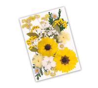 Assorted Dried Floral Arrangement Set Craft Enthusiasts Sustainable Homes Decors Upgrades Pressed Flower Art Supplies Natural Homes Decors Dried Flower