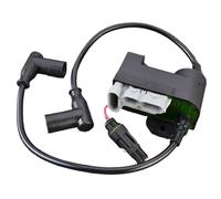 Assy de Bobina de Encendido 512060324 Compatible con expedición Sport 550f Tundra WT 550 LT 550F RER XU XU-154 XU-137 Skandic SWT se Adapta a Varios Modelos de Motos de Nieve