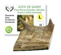 Asta de Gamo, Talla L -1 unds. Peso Unidad más de 150 gr.