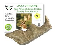 Asta de Gamo, Talla M -1 unds. Peso Unidad más de 100 gr.