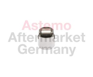 ASTEMO-HITACHI Émbolo, bomba alta presión para AUDI: TT, A5, S5, A3, Q3, A6, S4, Q5, A4, A8, A1 & BMW: Série 3, Série 1, Série 5, X5 (Ref: 2503058)