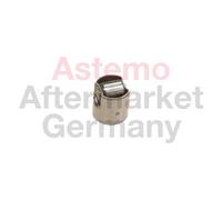 ASTEMO-HITACHI Émbolo, bomba alta presión para BMW: Série 3, M4, X6, Série 1, Série 2, Série 5, M3, M6, Série 7, Z4, X5, Série 6, M2 (Ref: 2503057)