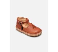 Aster Bimbo-2 19 Rojo