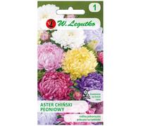 Aster chino peoní mixto