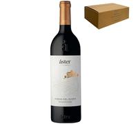 Áster - Crianza Ribera del Duero 2020 | 100 % Tinta del País | 14,5 % vol. | Crianza 16-22 meses en roble francés | Elegante y estructurado - 1 botella 75cl