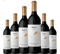 Áster Crianza Vino Tinto | Elaborado con Tinta del País | Crianza Española con 14.5% Vol | Servir entre 14ºC y 16ºC | Vino con cuerpo y elegancia| 6 botellas