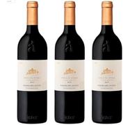 Áster Finca El Otero Vino Tinto Crianza | Tinta del País con 15% Vol | Vino Español con Intensidad y Elegancia | Servir entre 14ºC y 16ºC| 3 botellas