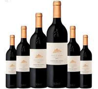 Áster Finca El Otero Vino Tinto Crianza | Tinta del País con 15% Vol | Vino Español con Intensidad y Elegancia | Servir entre 14ºC y 16ºC| 6 botellas