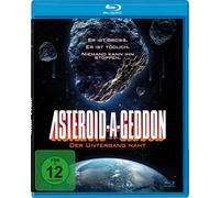 Asteroid-A-Geddon - Der Untergang naht (Blu-ray) Eric Roberts Geoff Meed