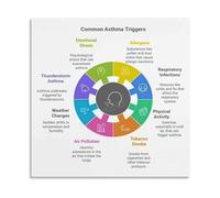 Asthma Triggers and Symptoms Chart - Educational Health Poster for Doctor's Office, Classroom, Living Room(Framed,08x12inch(20x30cm))