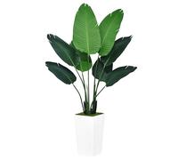 ASTIDY Bird of Paradise - Planta Artificial de 5 pies, Palmera Tropical sintética con Maceta Alta Blanca, Planta de Suelo Falsa en Maceta, árbol de Seda Artificial para decoración del hogar, Oficina,