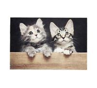 Astra Felpudo Interior Antideslizante Impermeable Atrapa Suciedad Lavable 30 °C Gatos Madera 40x60 cm