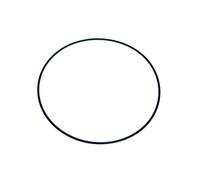 Astralpool JUNTA ARO FIJACION VALVULA 190x3,5 marca