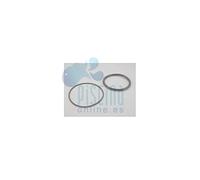 AstralPool Junta aro proyector PS