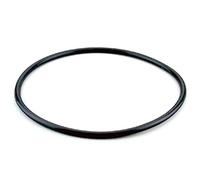 AstralPool JUNTA TAPA marca